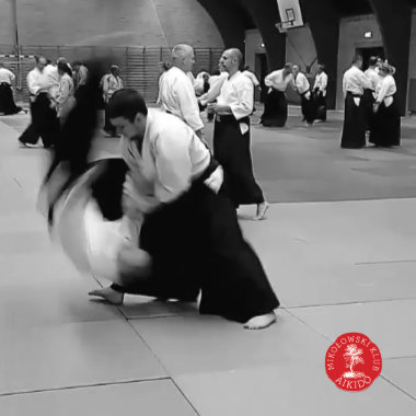 Read more about the article Mikołowski Klub Aikido